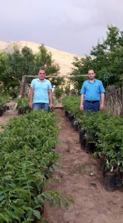 FB_IMG_1471860899383